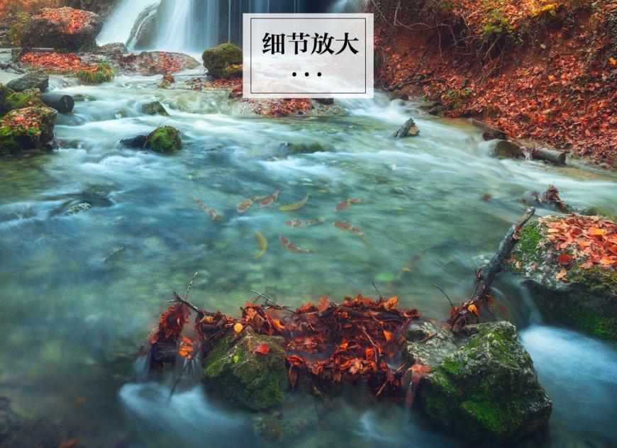 栀子落星海